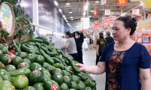 Bơ đầu mùa tăng giá gấp đôi
