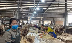 Ngành gỗ chủ động giảm tác động từ chính sách thuế quan