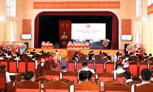 Đại hội Đại biểu Đảng bộ Lữ đoàn 147 Hải quân lần thứ XV, nhiệm kỳ 2025-2030, tháng 4-2025