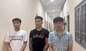 Bắt 3 đối tượng chiếm đoạt hàng tỷ đồng bằng hình thức chơi game tài xỉu