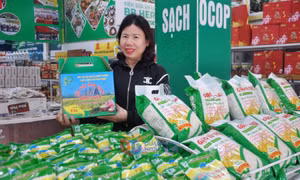 Tiên phong làm nông sản sạch