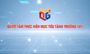 Quyết tâm thực hiện mục tiêu tăng trưởng 14%