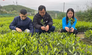 Đồng hành cùng nông dân vùng DTTS, miền núi, biên giới phát triển kinh tế - xã hội