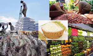 Điều chỉnh chiến lược xuất khẩu nông lâm thủy sản
