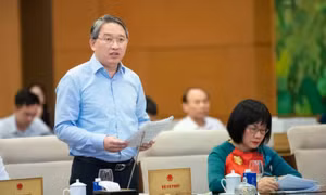 Đẩy mạnh phân cấp, phân quyền trong xử phạt vi phạm hành chính