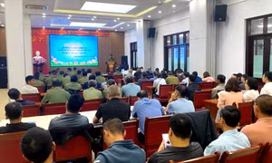 Huấn luyện công tác quản lý, sử dụng công cụ hỗ trợ