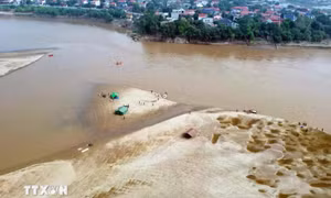 Nghệ An: Hai anh em ruột tử vong thương tâm do đuối nước