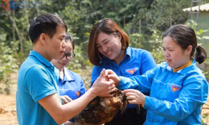 Huyện Ba Chẽ: Đảm bảo mục tiêu tăng trưởng