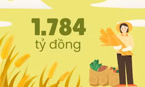 1.784 tỷ đồng - là ước tính doanh thu sản phẩm cây trồng vụ đông toàn tỉnh