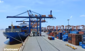 Khai thác hiệu quả các FTA: Giải pháp căn cơ để thúc đẩy xuất nhập khẩu