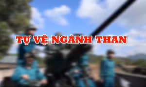 Tự vệ ngành Than
