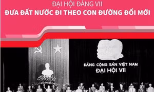 Đại hội lần thứ VII của Đảng