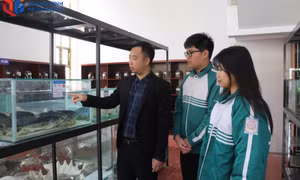 “Định vị thương hiệu du lịch Vịnh Bái Tử Long theo hướng khám phá thiên nhiên, văn hóa, thể thao mạo hiểm”
