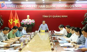 Ban Chỉ đạo về phát triển KHCN, đổi mới sáng tạo và chuyển đổi số tỉnh họp phiên thứ 2