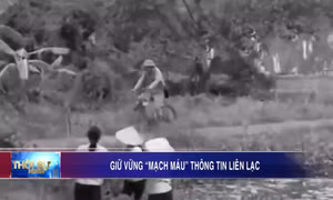 Giữ vững "mạch máu" thông tin liên lạc