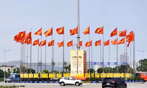Đất mỏ rực rỡ chào mừng 50 năm ngày thống nhất đất nước