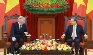 Tổng Bí thư Tô Lâm tiếp Nhà Vua Vương quốc Bỉ Philippe