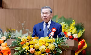 Vươn mình trong hội nhập quốc tế