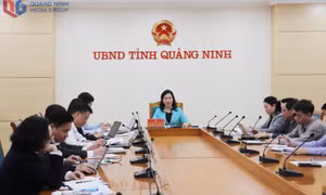 Tăng cường giải pháp phát triển nguồn nhân lực đáp ứng nhu cầu thực tiễn
