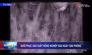 Khôi phục sản xuất nông nghiệp sau ngày giải phóng