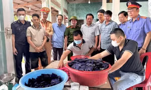 Tử hình đối tượng dùng súng áp tải hàng chục cân ma tuý
