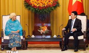 Chủ tịch nước đề nghị Liên hợp quốc hỗ trợ Việt Nam trên một số lĩnh vực ưu tiên