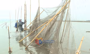 Hải Hà: Xử lý nghiêm những trường hợp lấn chiếm bãi triều