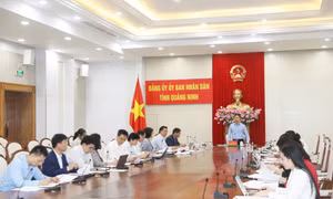 Họp Ban Chấp hành Đảng bộ UBND tỉnh