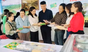 Chú trọng phát triển các sản phẩm OCOP