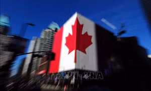 Lý do người Canada bất ngờ gia tăng mức độ quan tâm với việc gia nhập EU