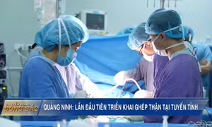 Quảng Ninh: Lần đầu tiên triển khai ghép thận tại tuyến tỉnh