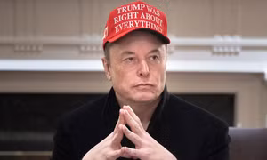Elon Musk chỉ trích gay gắt Cố vấn Thương mại Nhà Trắng