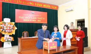 Quy định về ứng cử, đề cử theo Quyết định mới về quy chế bầu cử trong Đảng