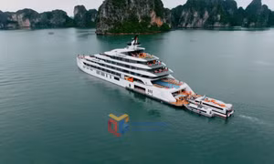 Bản tin vùng Đông Bắc ngày 3/4/2025