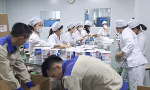 Hai ông chủ đường dây sữa bột giả chi 150.000 USD để 'chạy án'