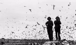 50 năm thống nhất đất nước-Ngày 29/4/1975: Giải phóng quần đảo Trường Sa