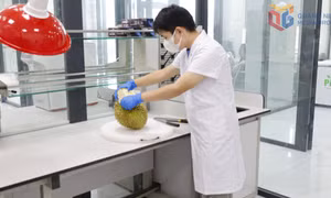 Hoàn thiện Phòng thí nghiệm Nông sản và Thực phẩm: Đẩy mạnh xuất nhập khẩu tại cửa khẩu cầu Bắc Luân II