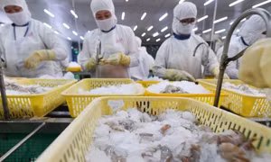 Bán tôm cá ra nước ngoài, doanh nghiệp Việt thu 2,45 tỷ USD quý I