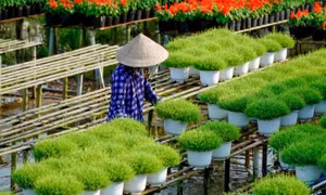 Du lịch gắn với nông thôn mới, nâng cao thu nhập người dân
