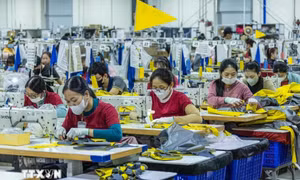 Nỗ lực cải cách để tăng cường thu hút dòng vốn FDI