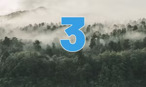 3 - là số khu bảo tồn thiên nhiên của Quảng Ninh được phê duyệt ở mức phân hạng cao