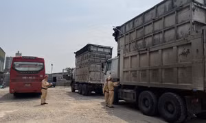 Không để tái diễn tình trạng xe chở hàng cơi nới 