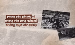 Phong trào dân tộc và phong trào công nhân mỏ chống thực dân Pháp 