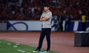 Rõ khả năng Shin Tae-yong trở lại Indonesia