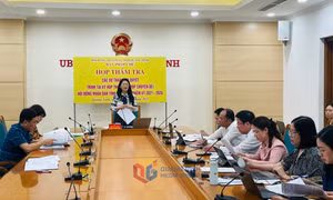 Ban Pháp chế HĐND tỉnh thẩm tra các dự thảo nghị quyết trình tại Kỳ họp thứ 26 HĐND tỉnh