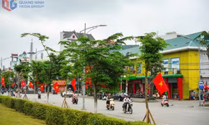 Cẩm Phả rực rỡ cờ hoa chào mừng kỷ niệm 70 năm Giải phóng Vùng mỏ, 50 năm Giải phóng miền Nam