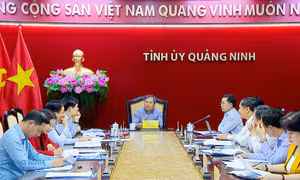 Giao ban Thường trực Tỉnh ủy