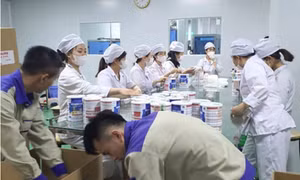 Tại sao sữa giả bán công khai nhiều năm không bị phát hiện?