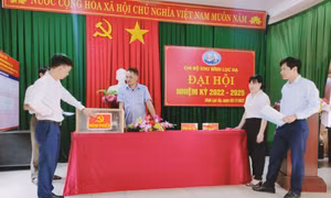 Sẵn sàng cho Đại hội chi bộ cơ sở nhiệm kỳ 2022-2025