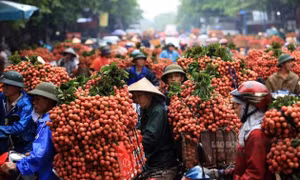 Xuất khẩu rau quả đạt gần 10 tỉ USD từ đầu năm 2025